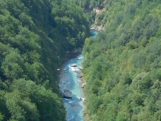 Tara River