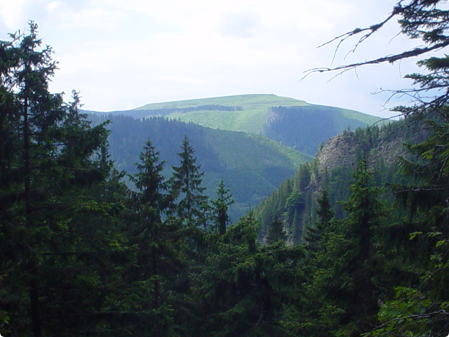Dlouh strn (1353 m)