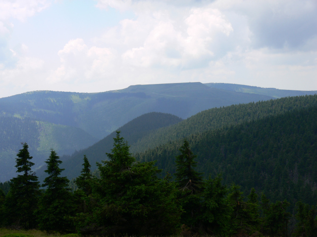 Dlouh Strn (1353 m)