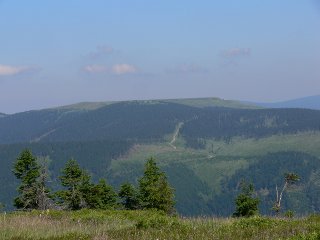 Dlouh Strn (1353 m)