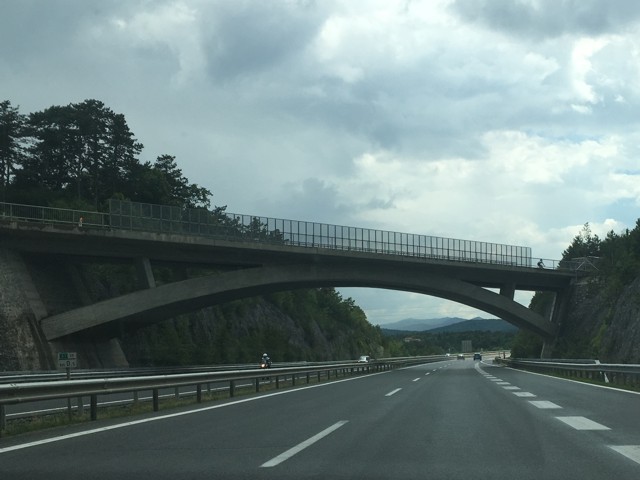 Most u Divaa