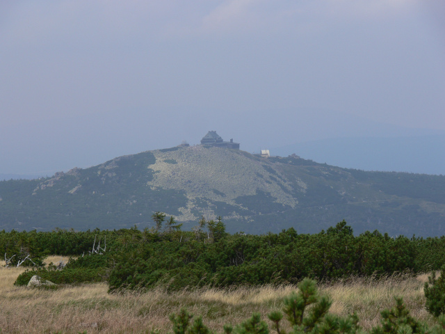 Szrenica (1362 m)