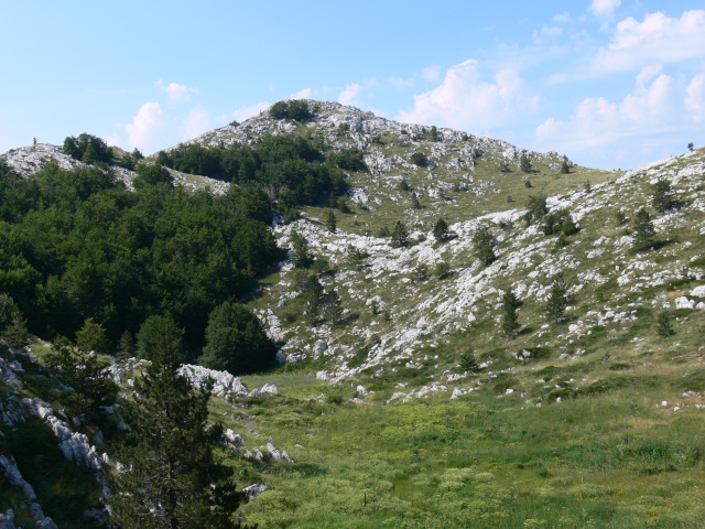 trbina (1338 m)