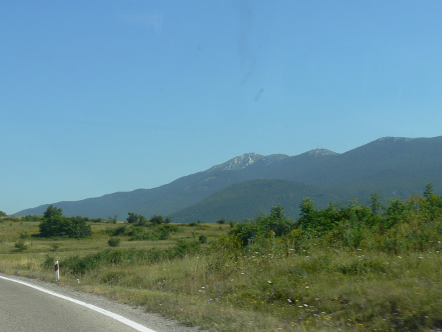 Gola Pljeivica (1646 m)