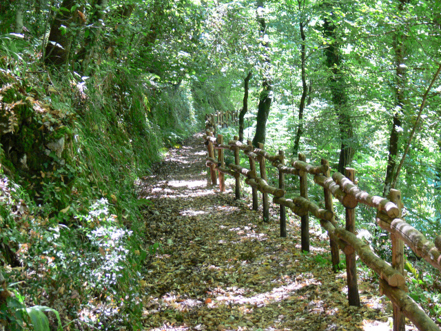 Cesta rezervac Sfilzi