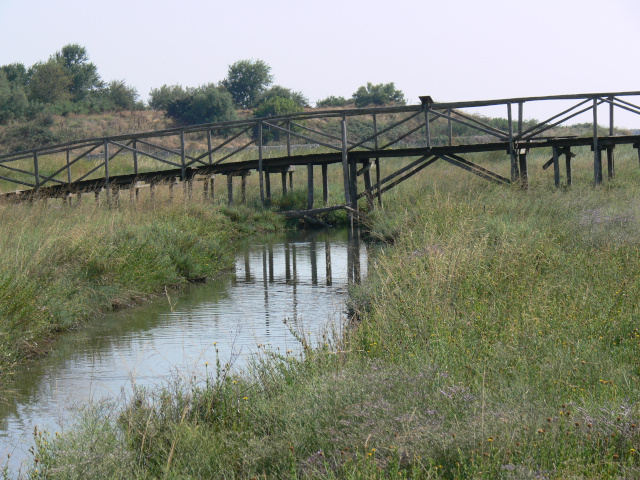 Bridge and Marshland