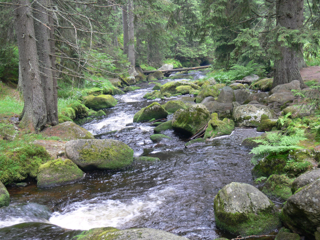 Hamersk potok