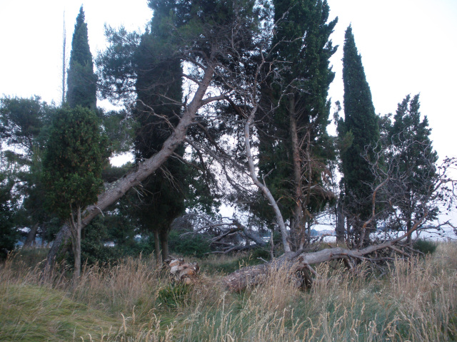 Archeologick park Sepomania