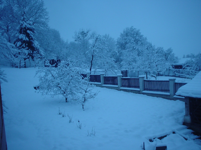 Winter in Buovice