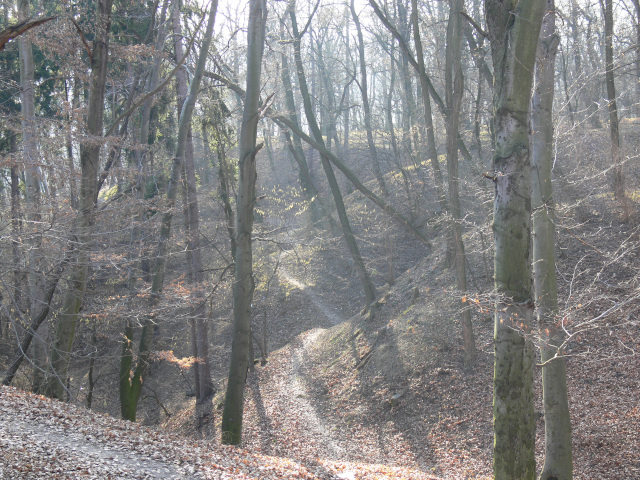 Ramparts of the former Buovice Castle