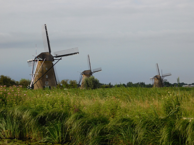 Mlny . 4, 6 a 7 - Nederwaard