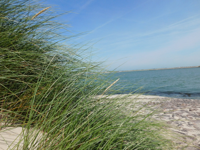 Nationaal Park Ooosterschelde