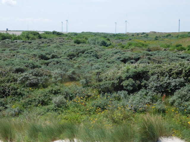 Nationaal Park Ooosterschelde