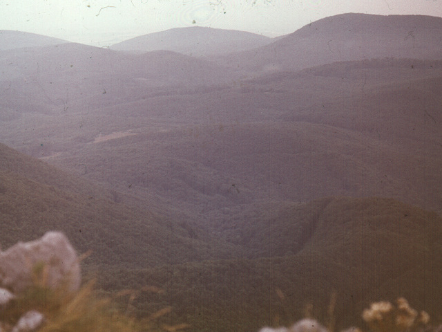 Mal Karpaty (1983)