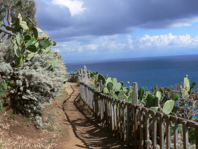 Capo Vaticano