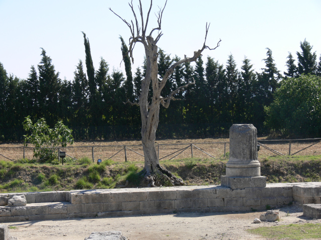 Archeologick park v Locri