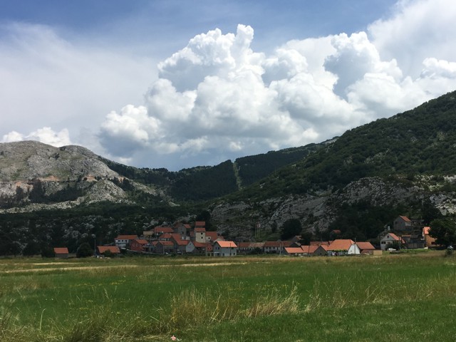 Njegui