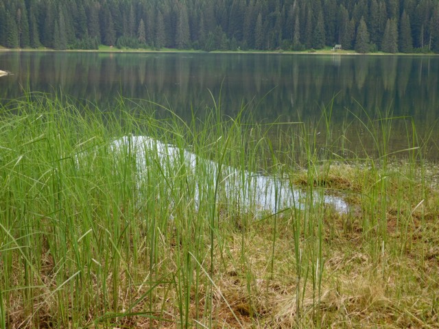 ern jezero