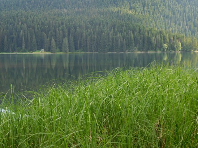 ern jezero