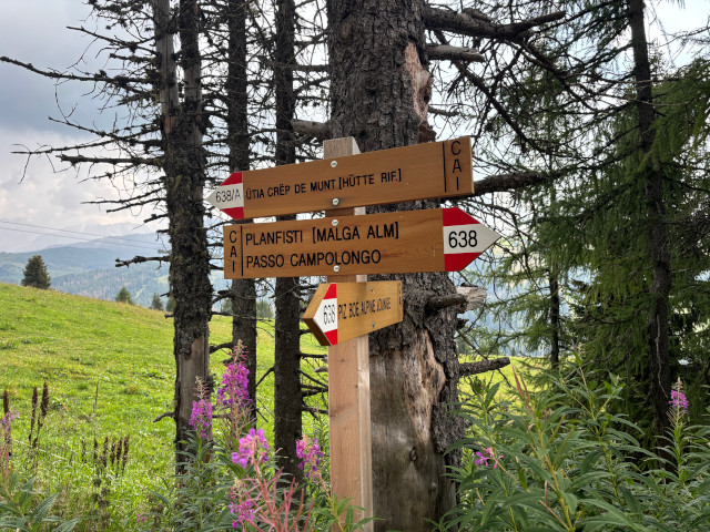 Smr Passo di Campolongo