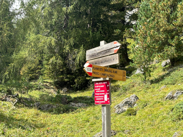 Smr Passo di Campolongo