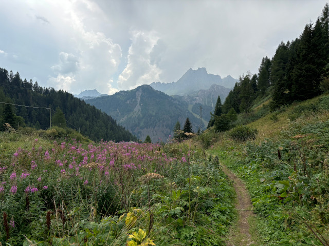 Stezka z Passo di Campolongo