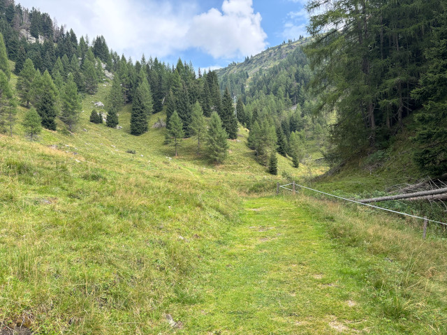 Cesta z Passo di Campolongo