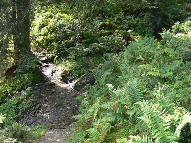 Salzburger Almenweg