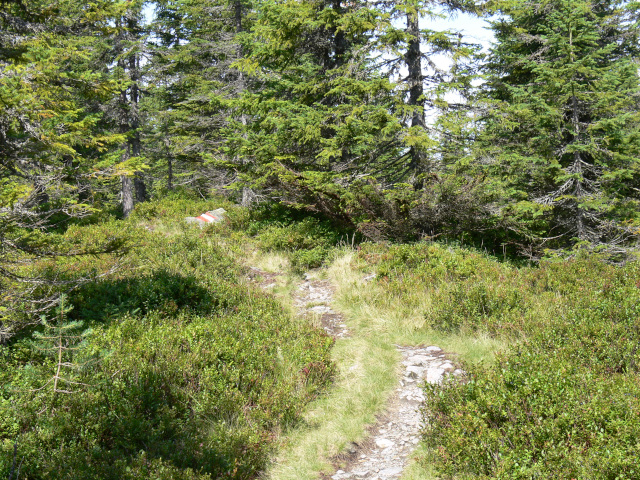 Salzburger Almenweg