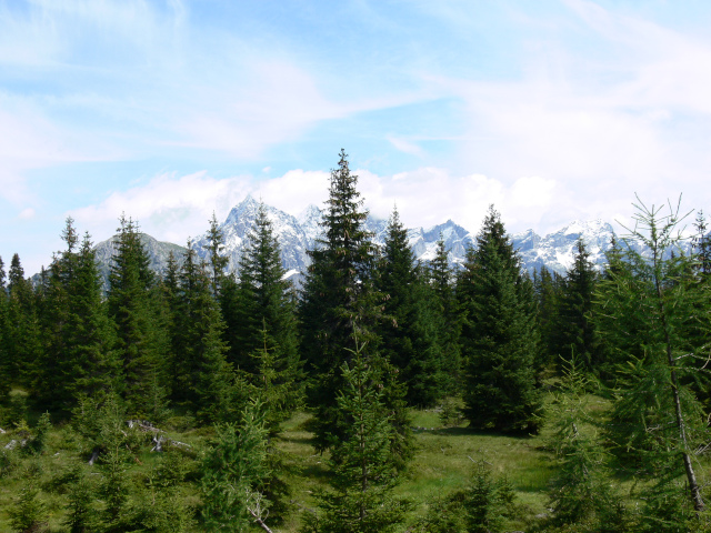 Torstein, Mitterspitz a Dachstein