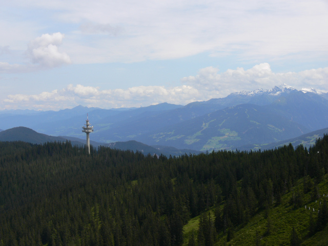 Hchstein a Hochwildstelle