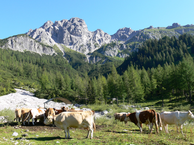 Steiglkogel a Mitterkogel