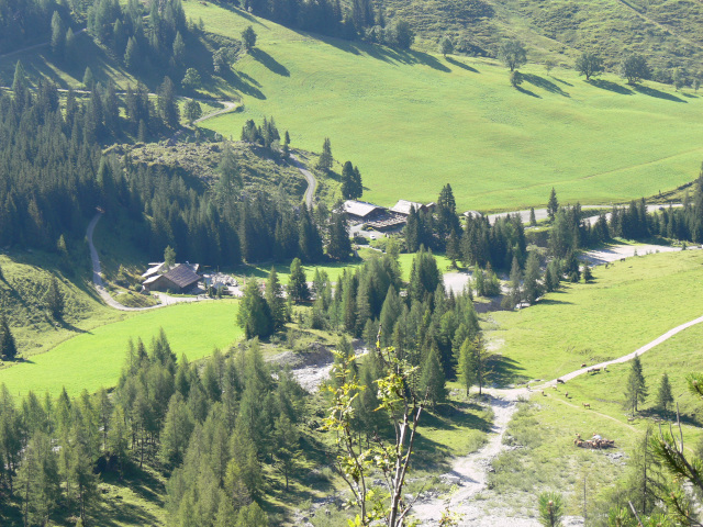 Hofalmen