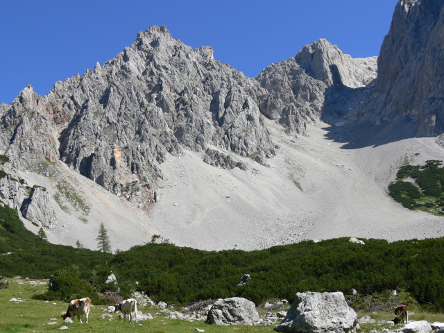 Windlegerspitz (2325 m)