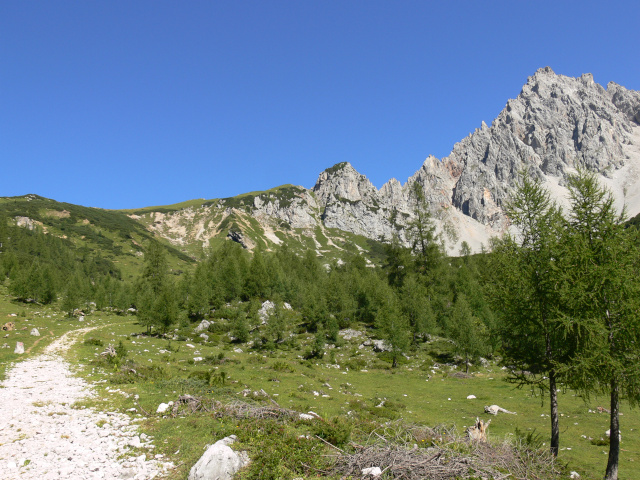 Salzburger Almenweg