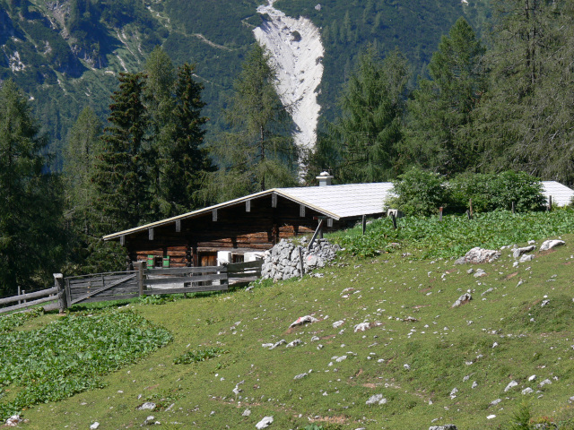 Mandlinghofalm