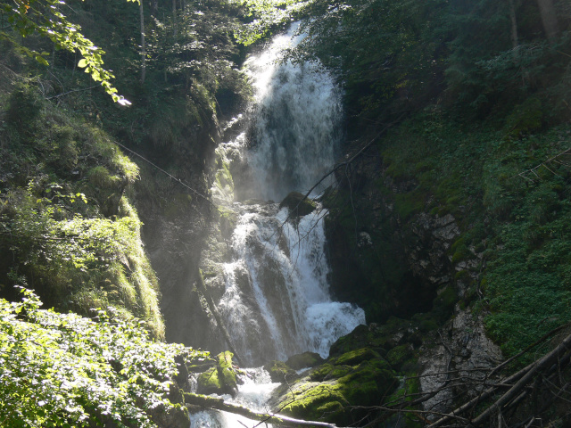 Schwarzenbachfall