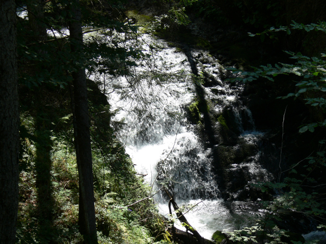 Schwarzenbachfall