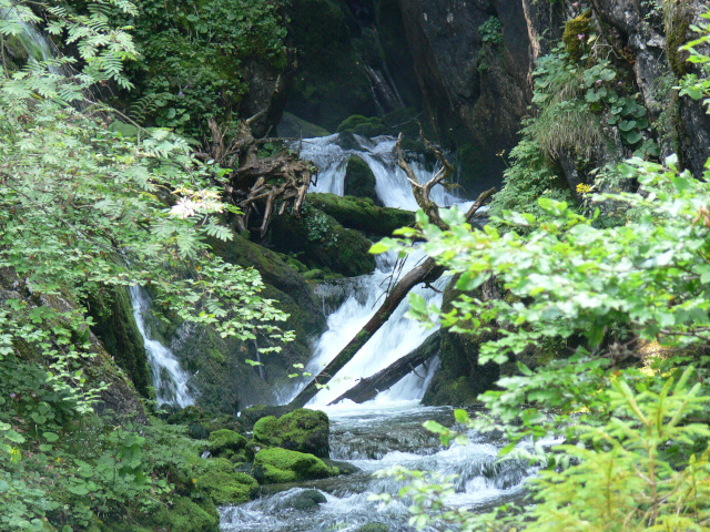 Peeje na Schwarzenbachu