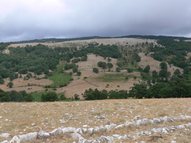 Coppa d' Incero (924 m)