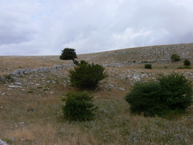 Monte Calvello (950 m)