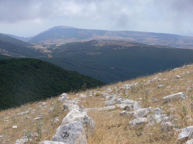 Monte degli Angeli (884 m)