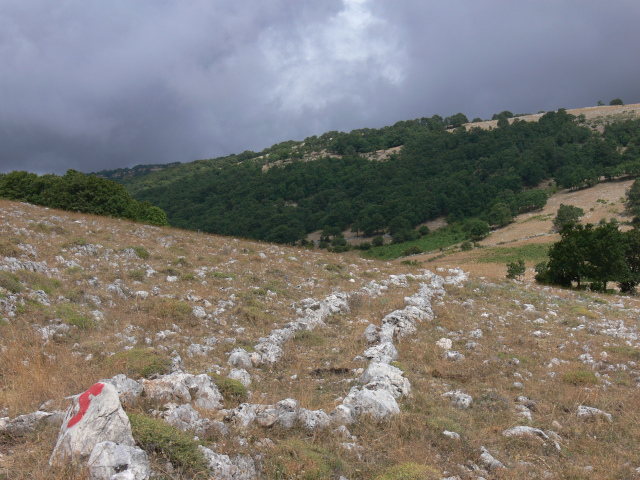 Cesta pod Monte Calvello