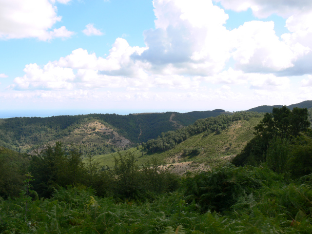 Coppa del Torrione (589 m)