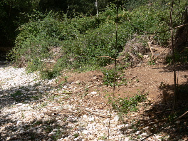 Valle del Torrente Romandato