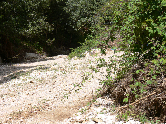 Valle del Torrente Romandato