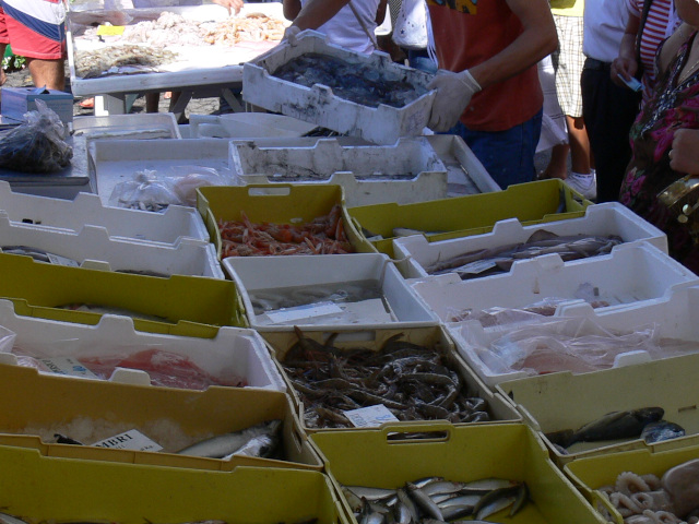 Prodej mořských plodů na trhu