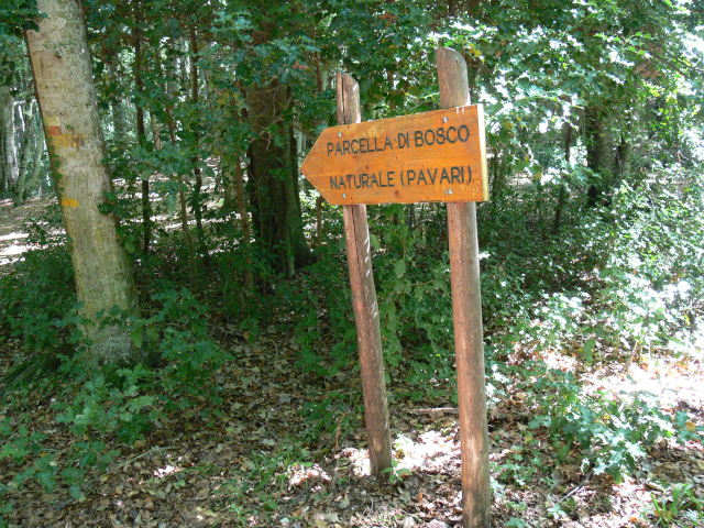 Smrovka k Bosco Pavari