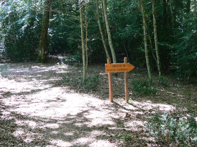 Smrovka ke Grava di Monte Ceraso