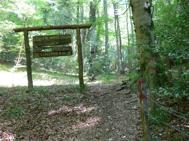 Informace o Grava di Monte Ceraso